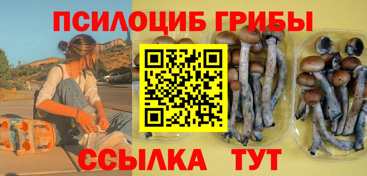 Златоуст  Псилоцибиновые грибы GOLDEN TEACHER  Псилоцибиновые грибы Magic Shrooms  продажа наркотиков  Вход с VPN 