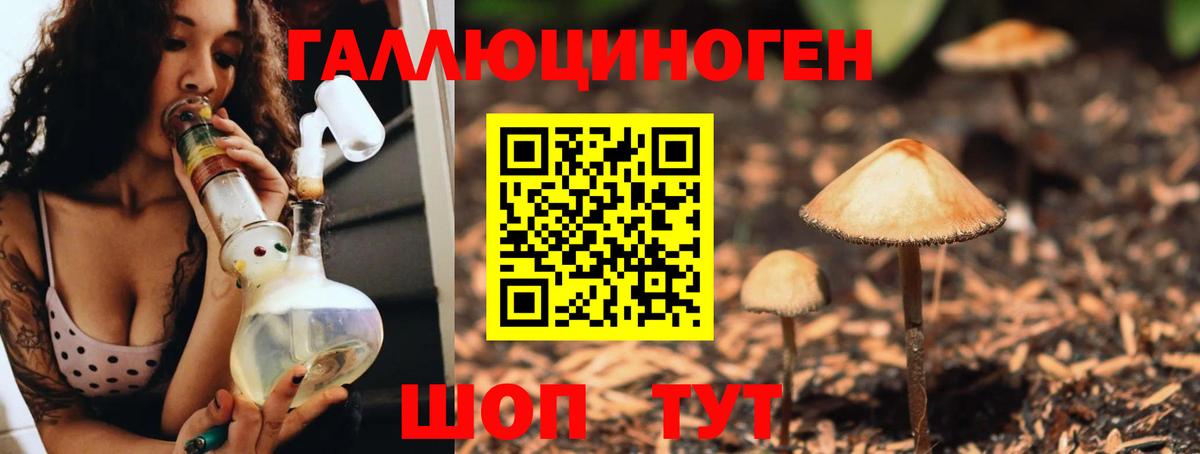 Псилоцибиновые грибы прущие грибы Златоуст